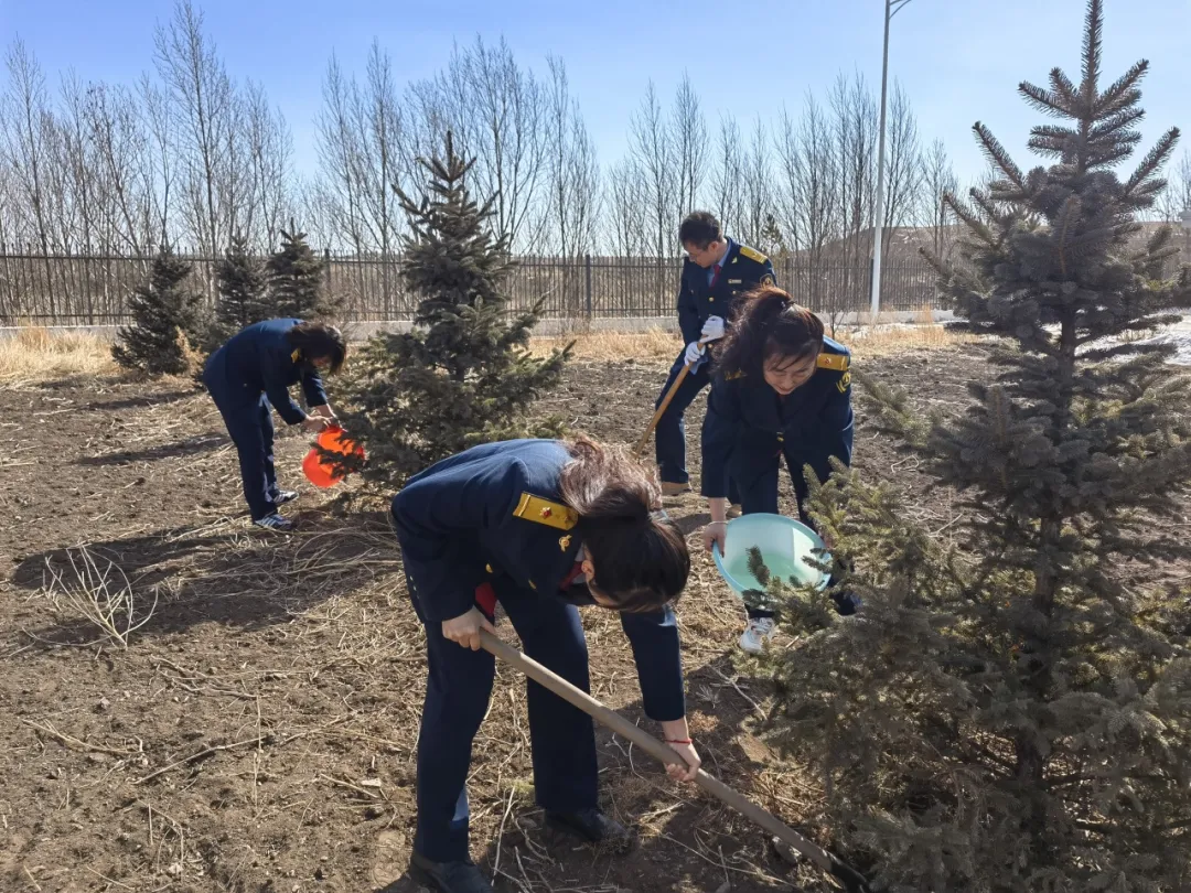 女人与公狍交酡女免费