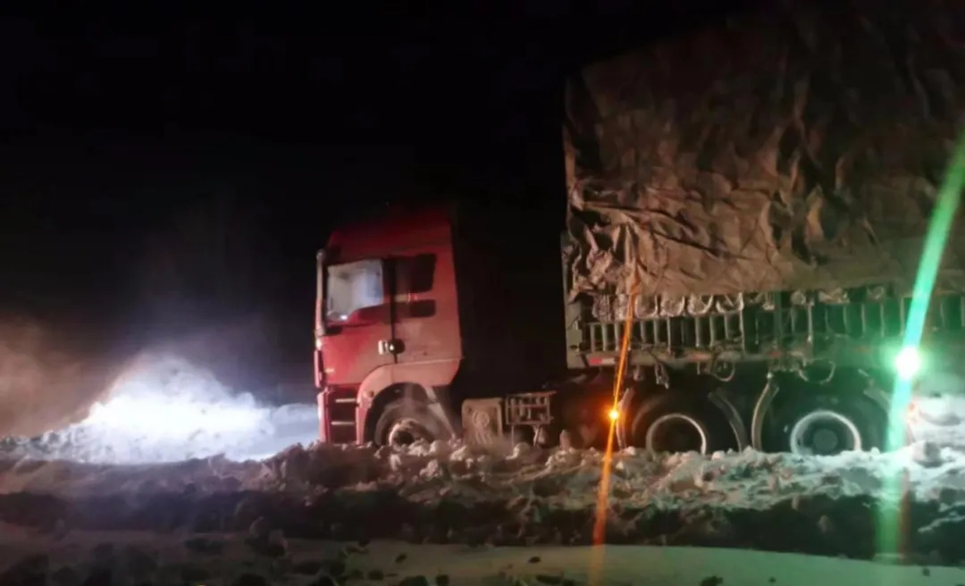 女人与公狍交酡女免费