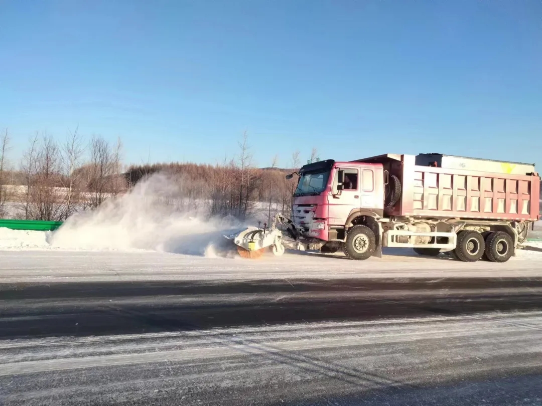女人与公狍交酡女免费