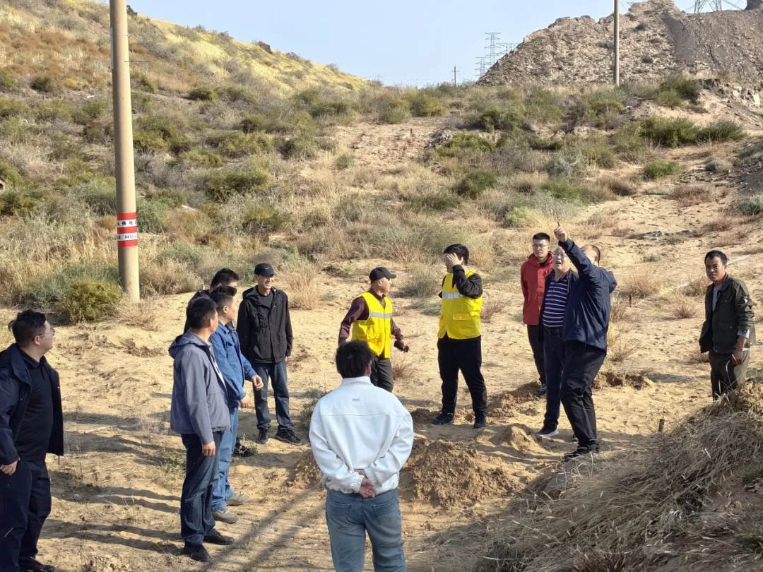 女人与公狍交酡女免费