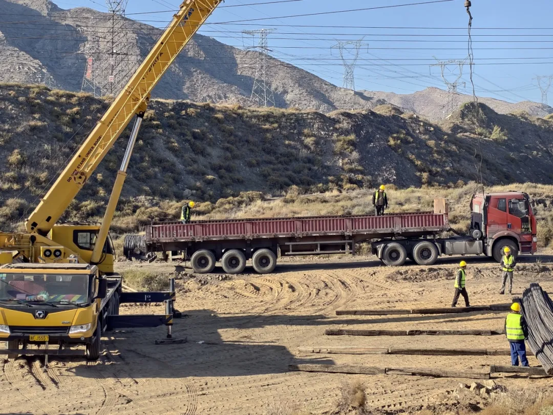 女人与公狍交酡女免费