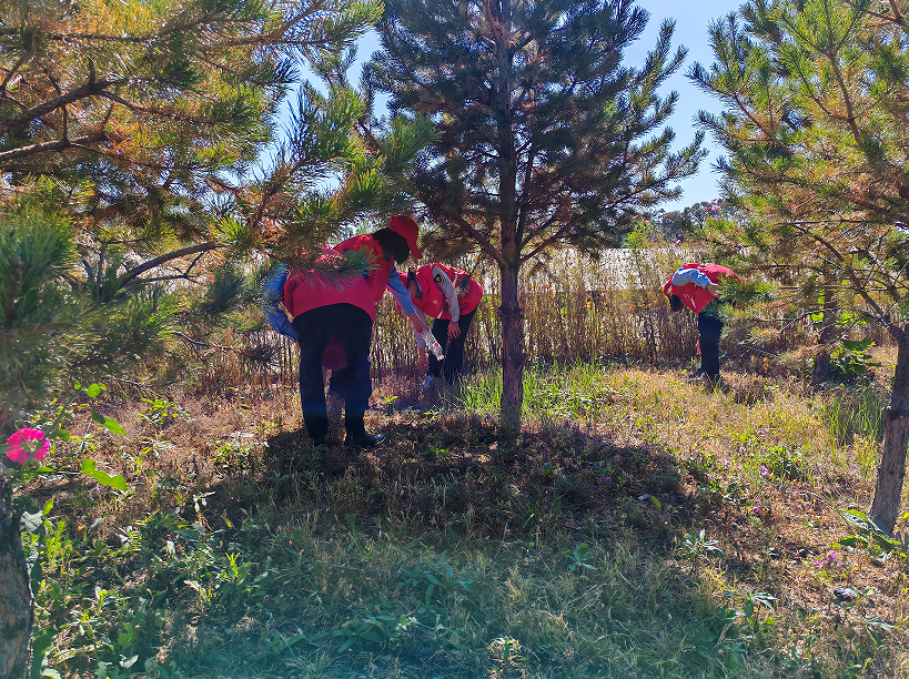 女人与公狍交酡女免费