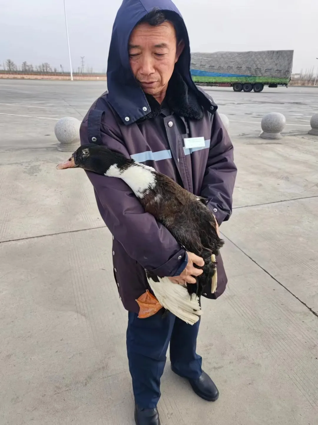 女人与公狍交酡女免费