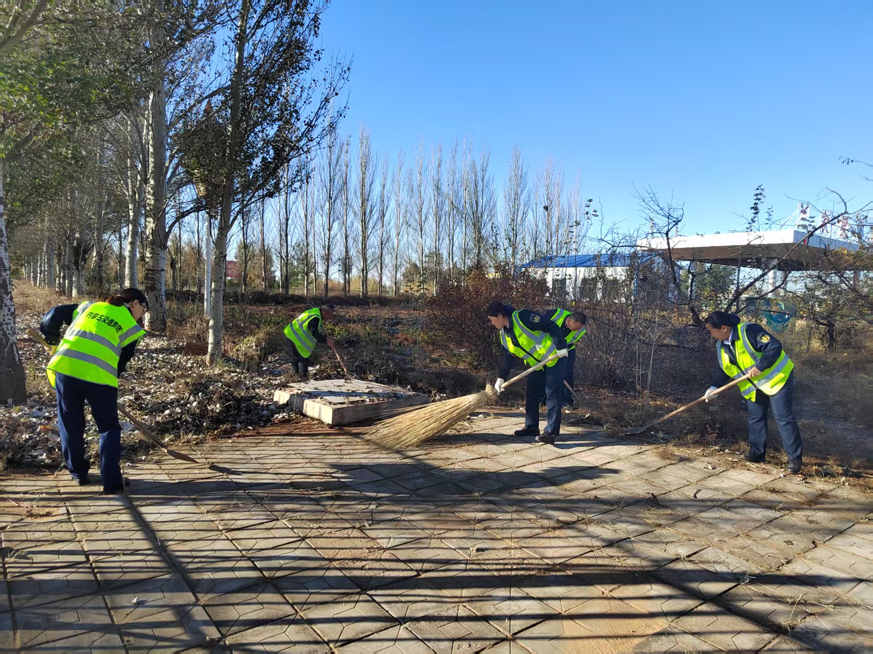 女人与公狍交酡女免费