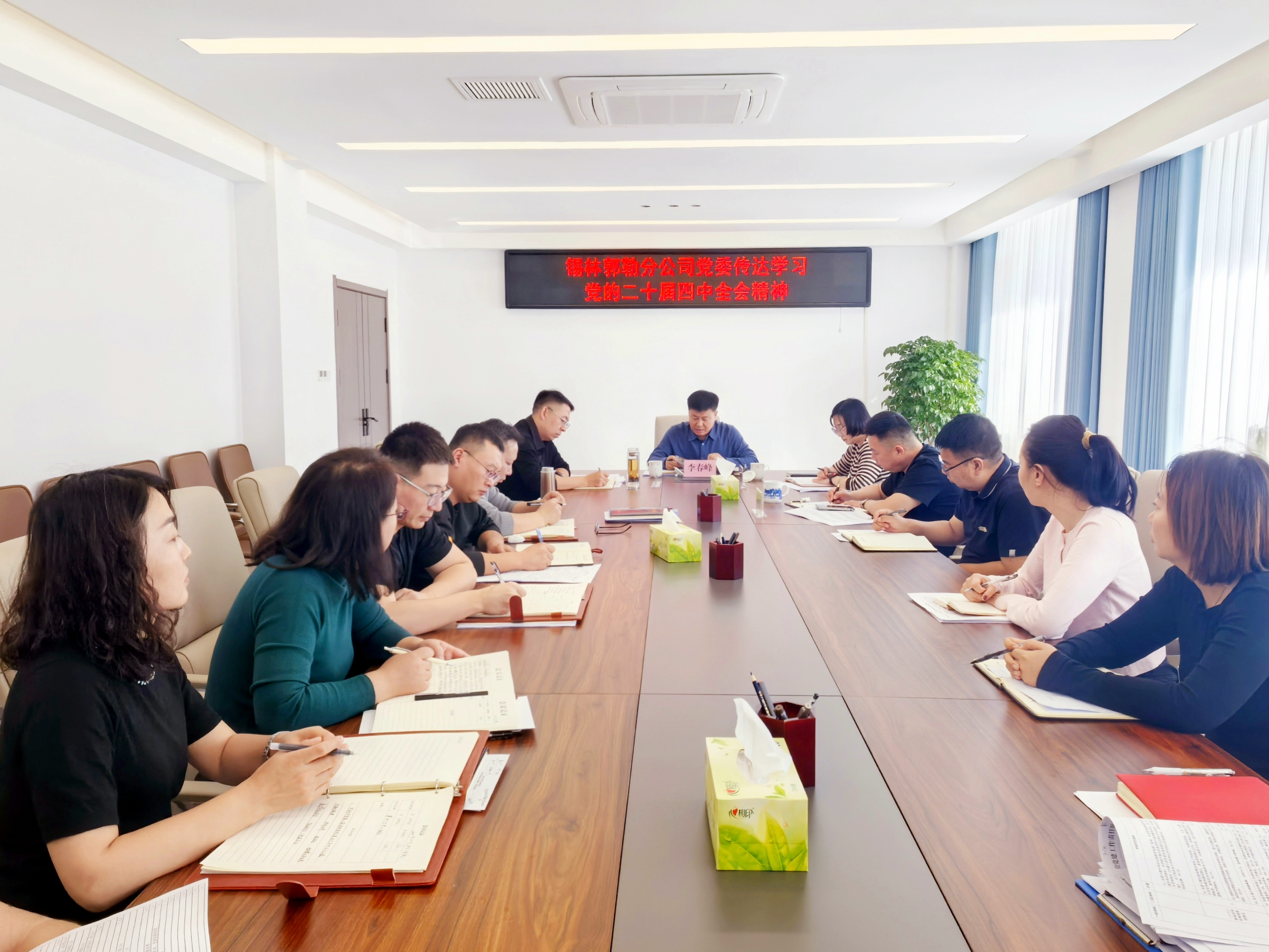 女人与公狍交酡女免费