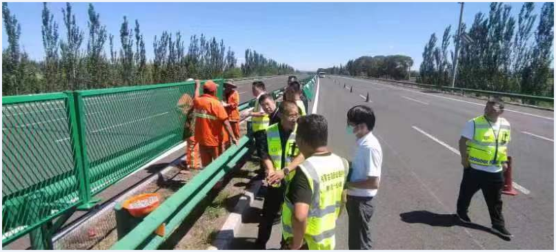 女人与公狍交酡女免费