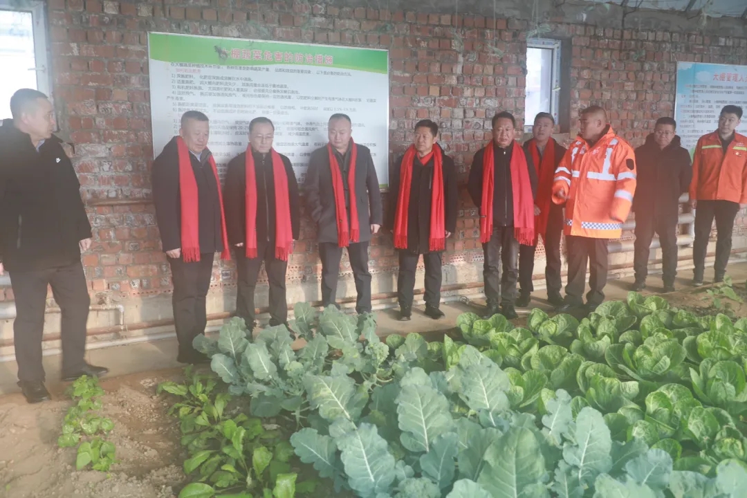 女人与公狍交酡女免费