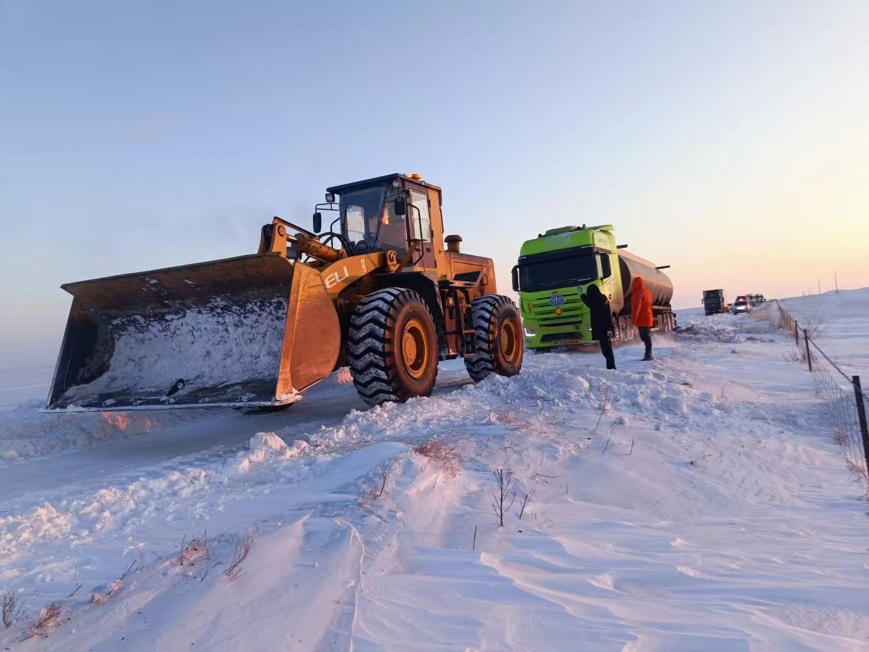 女人与公狍交酡女免费
