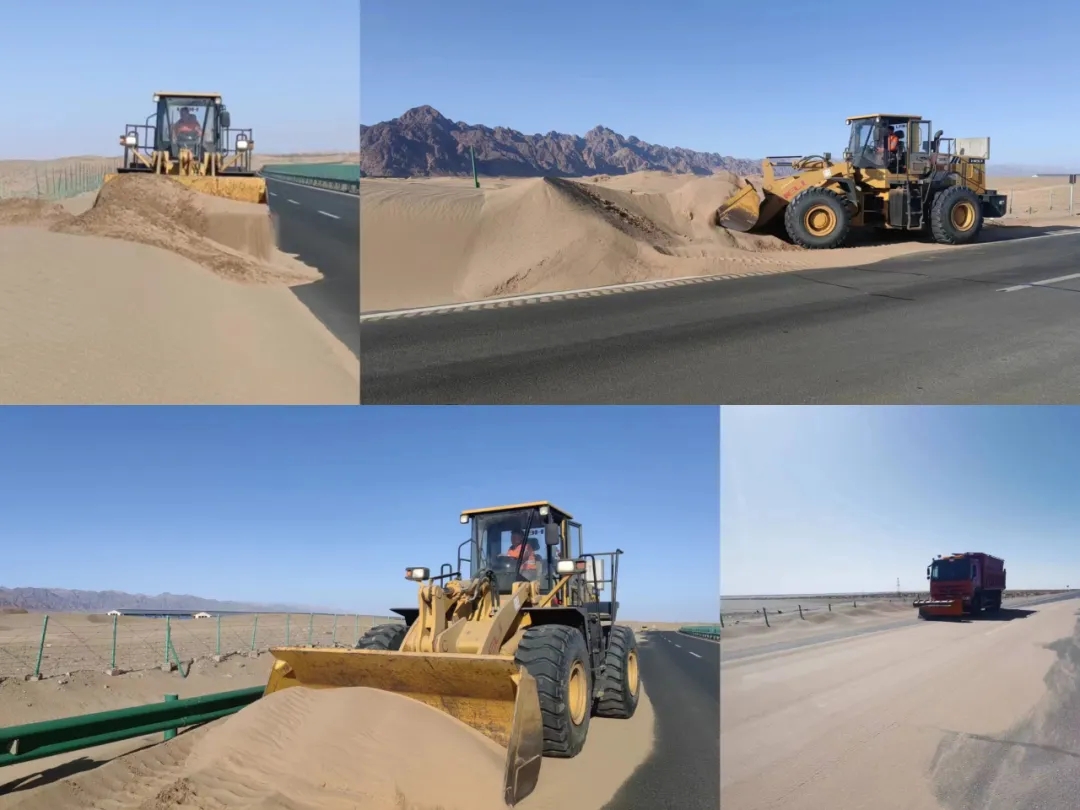 女人与公狍交酡女免费