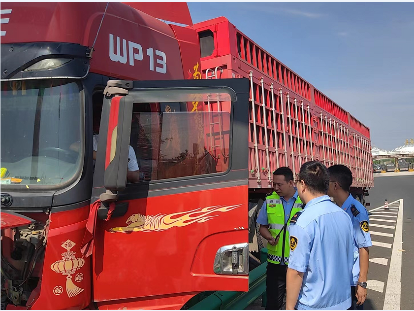 女人与公狍交酡女免费