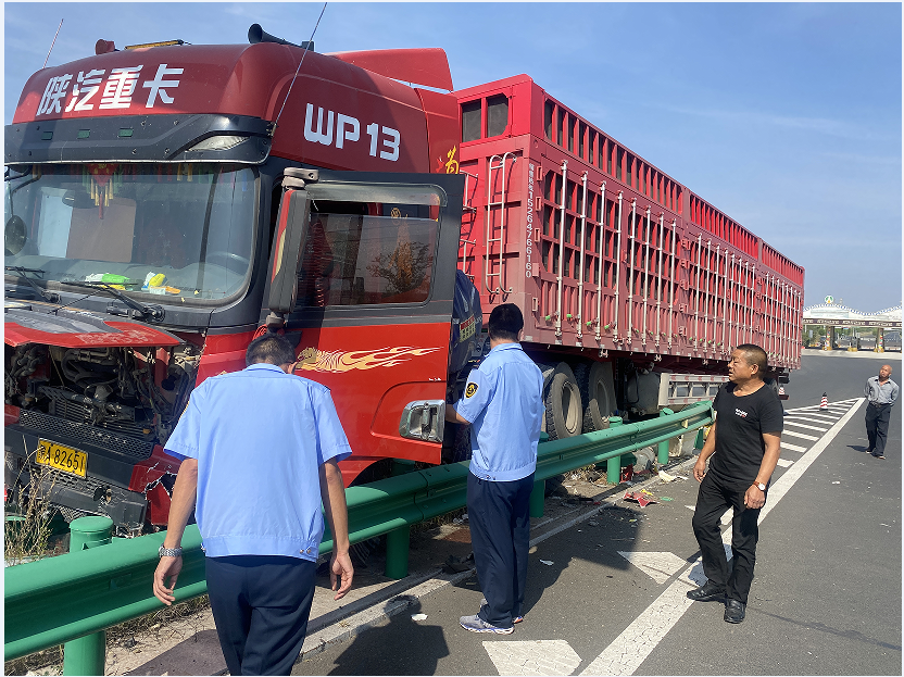 女人与公狍交酡女免费