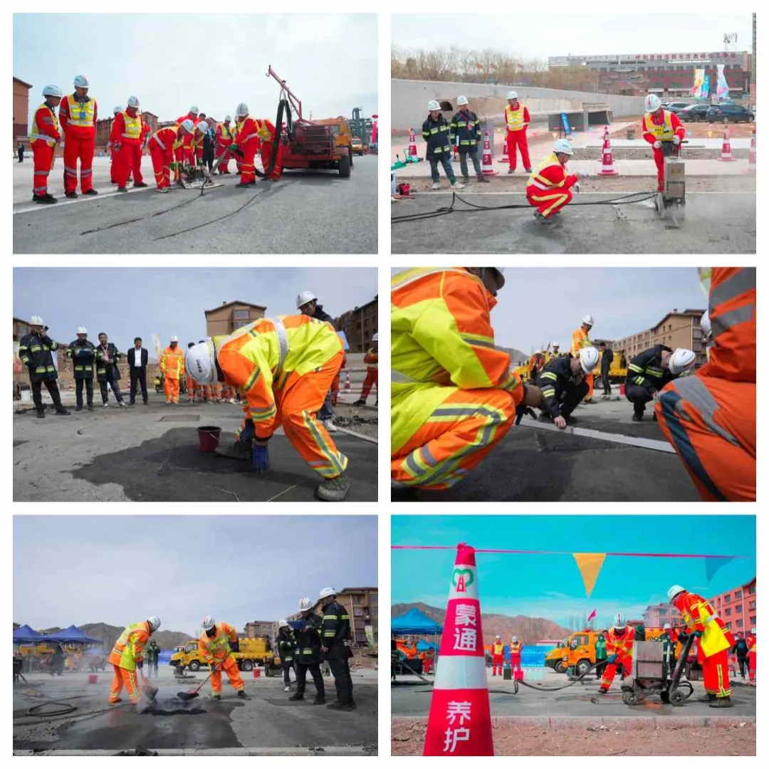 女人与公狍交酡女免费