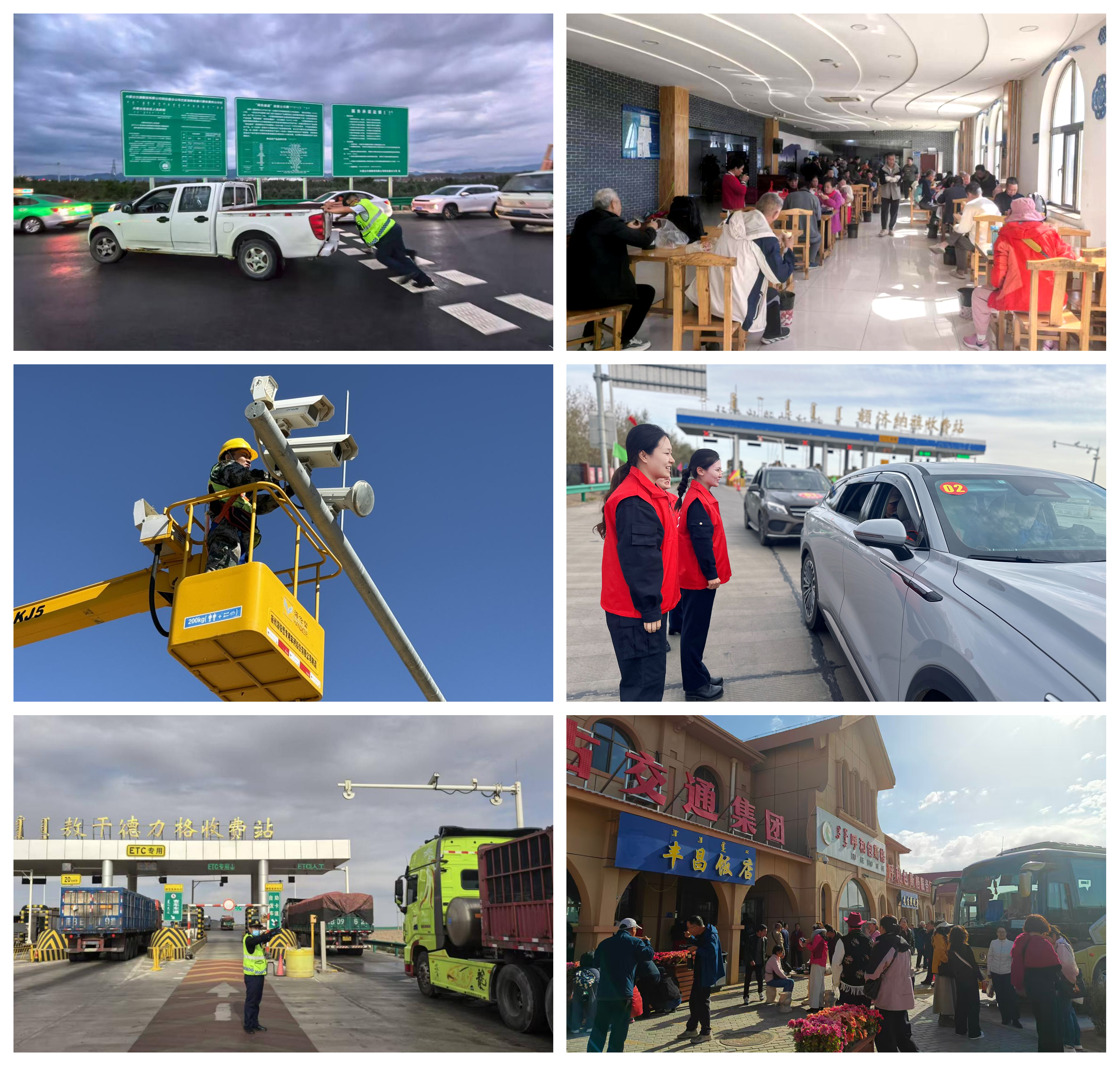 女人与公狍交酡女免费