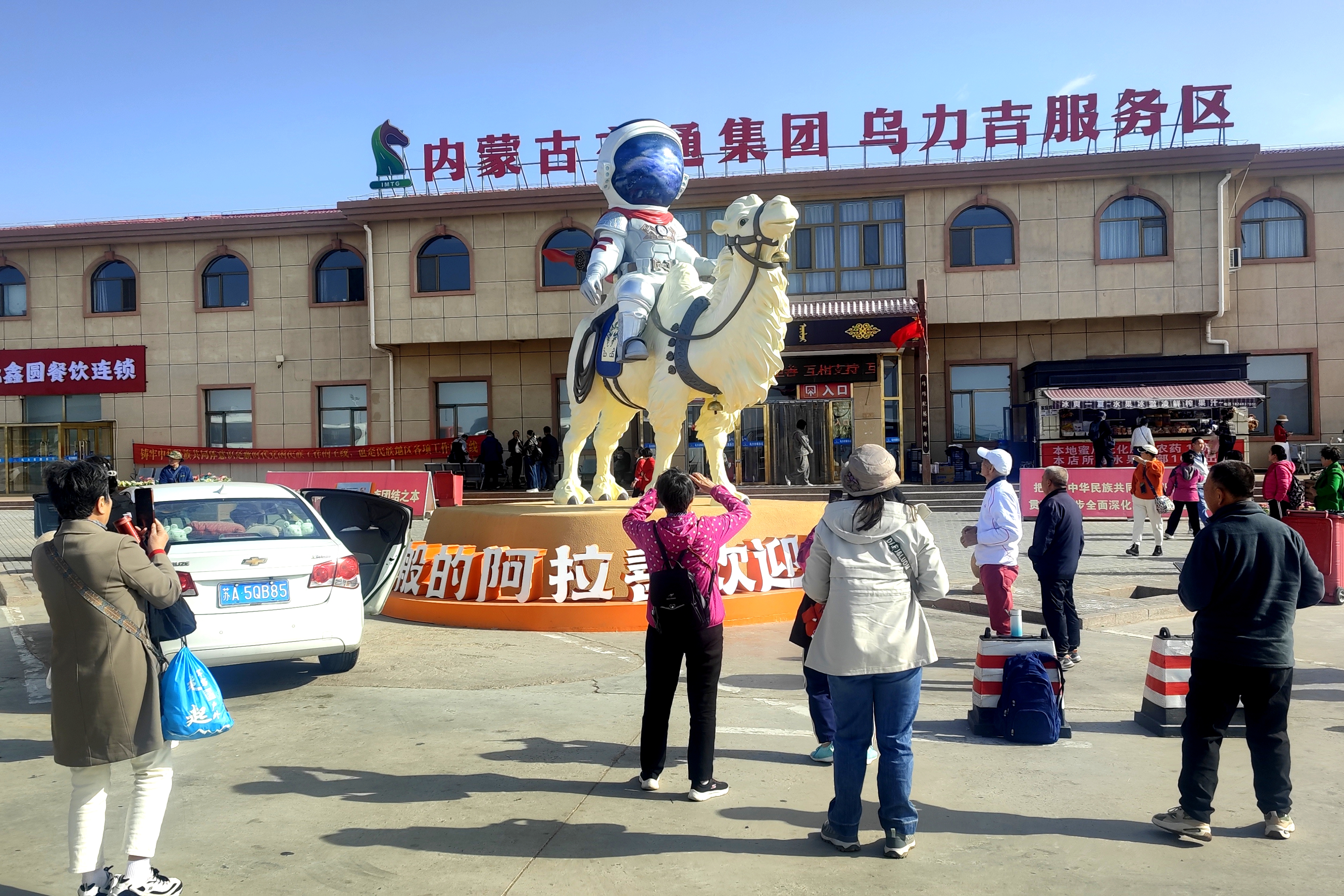 女人与公狍交酡女免费