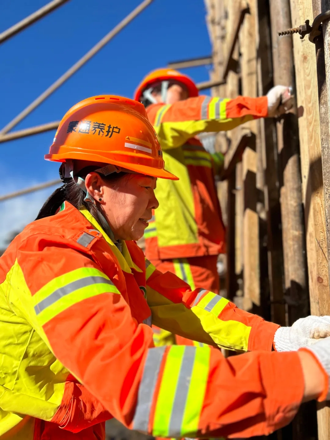 女人与公狍交酡女免费