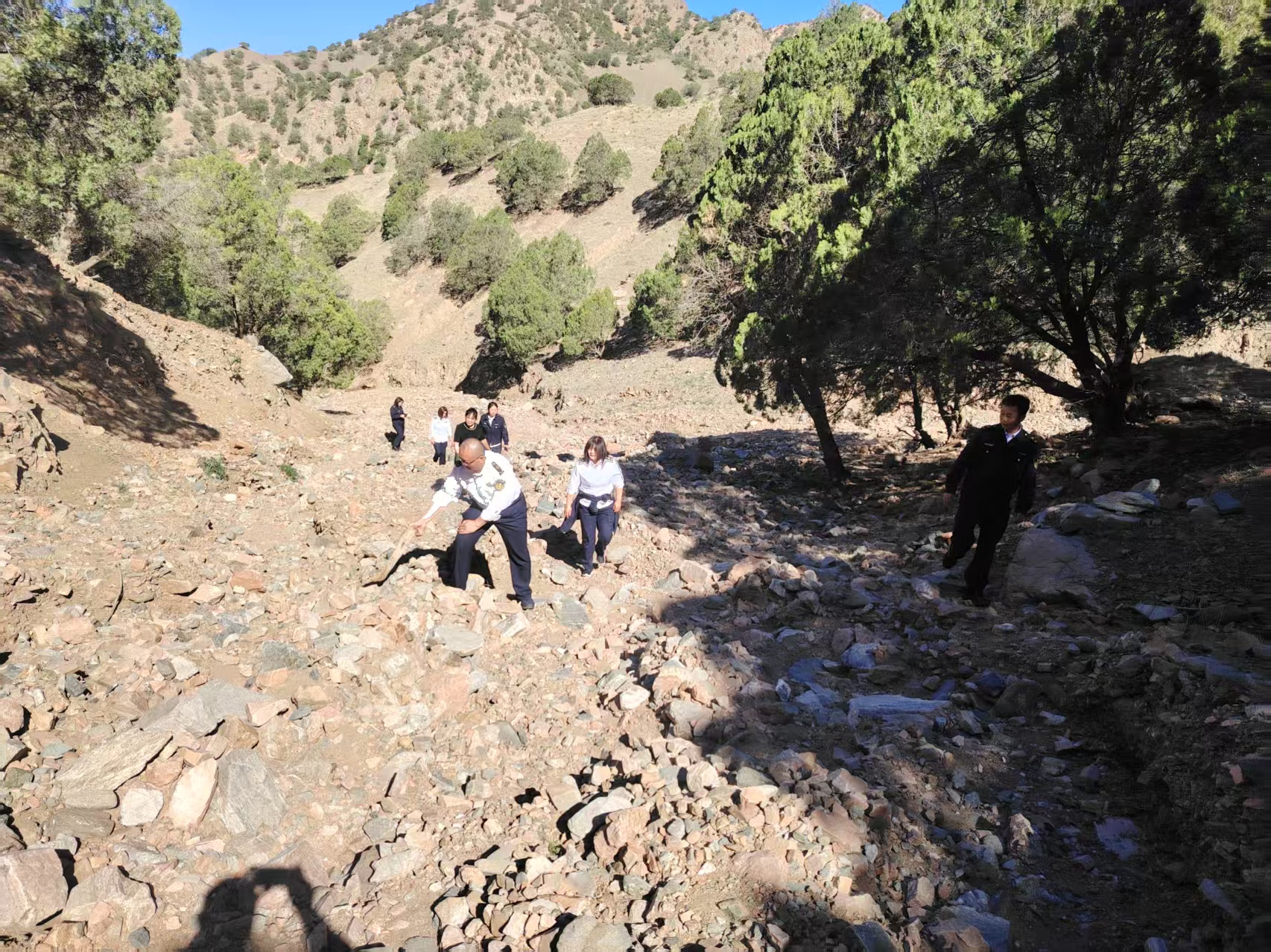 女人与公狍交酡女免费