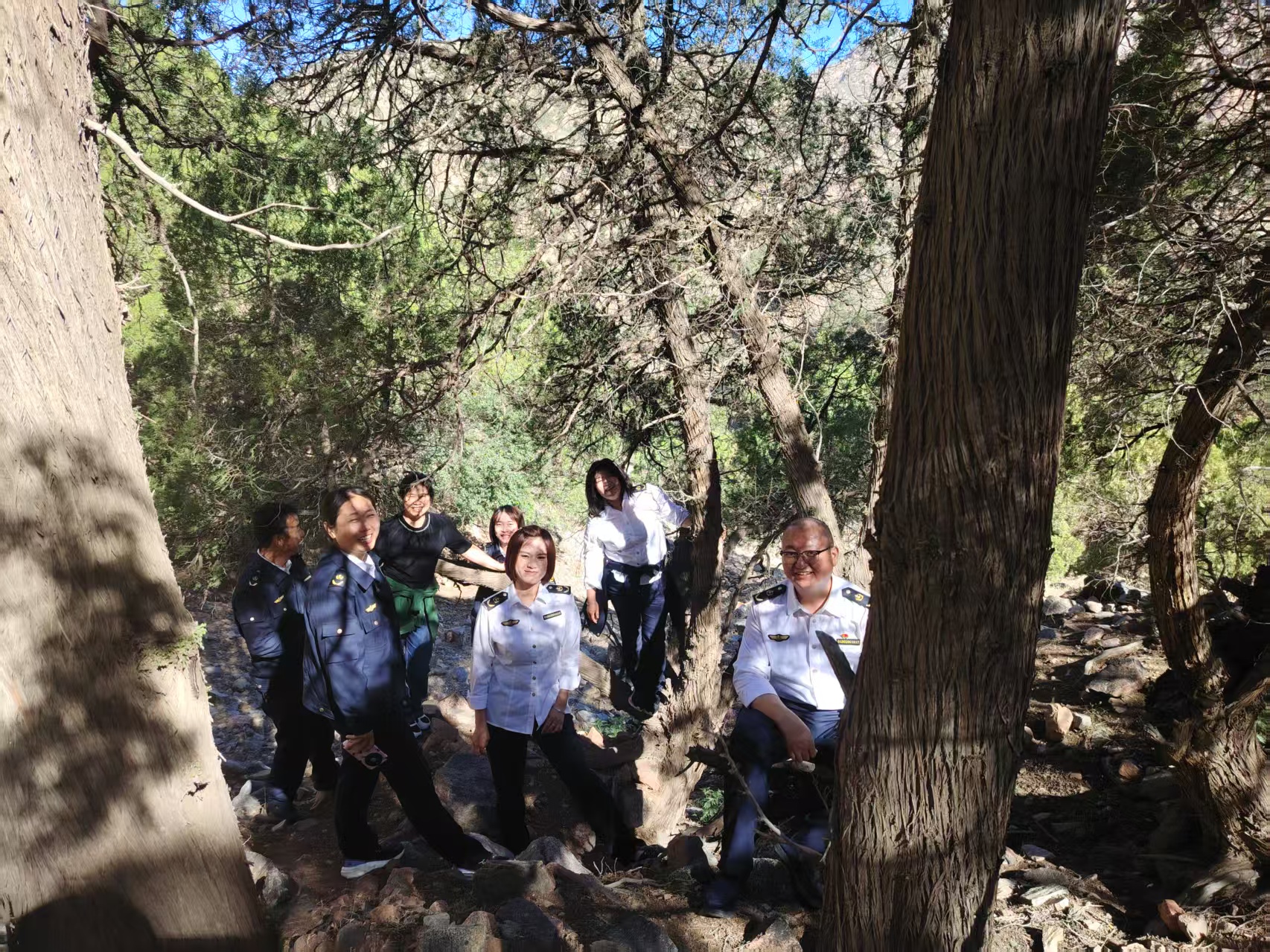 女人与公狍交酡女免费