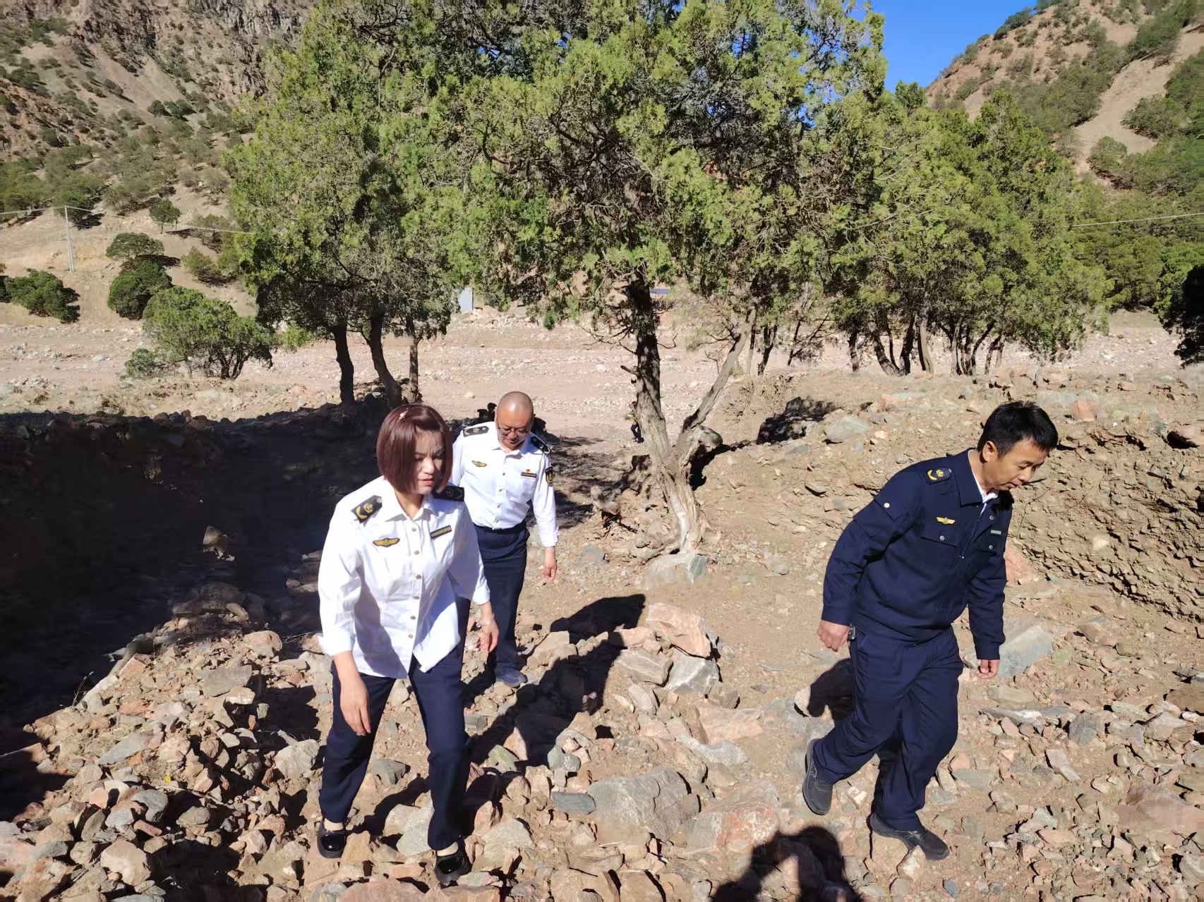 女人与公狍交酡女免费