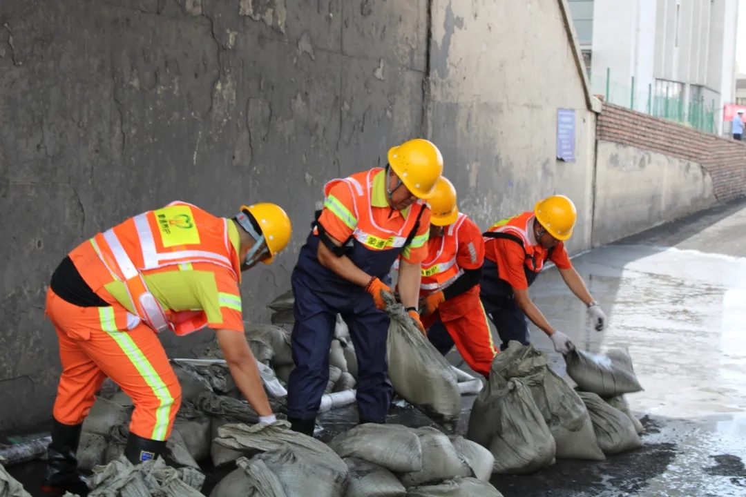 女人与公狍交酡女免费