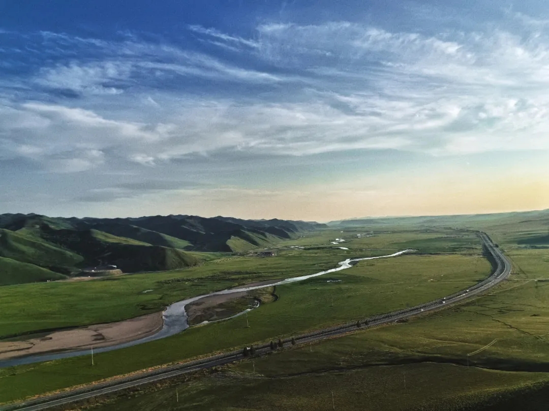 女人与公狍交酡女免费