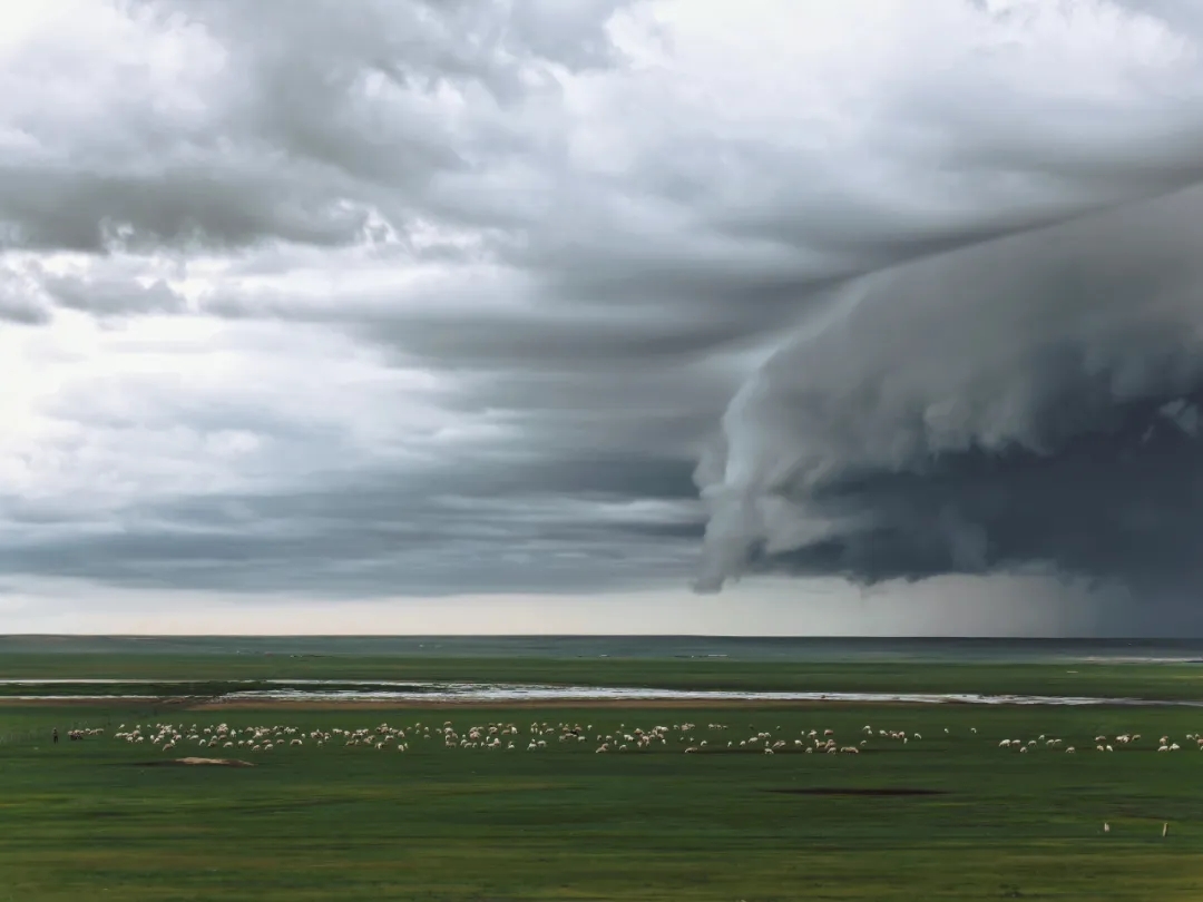 女人与公狍交酡女免费