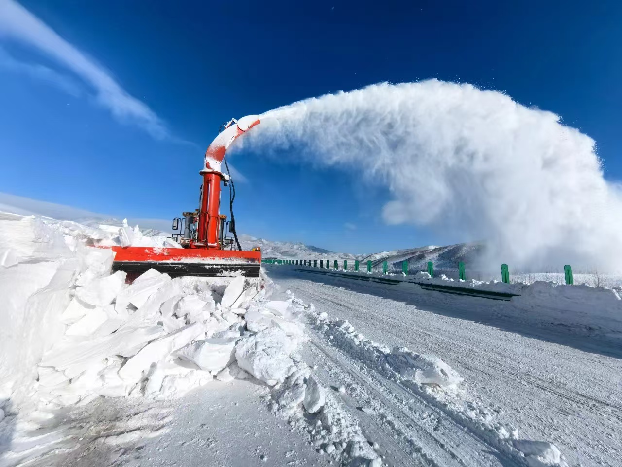 女人与公狍交酡女免费