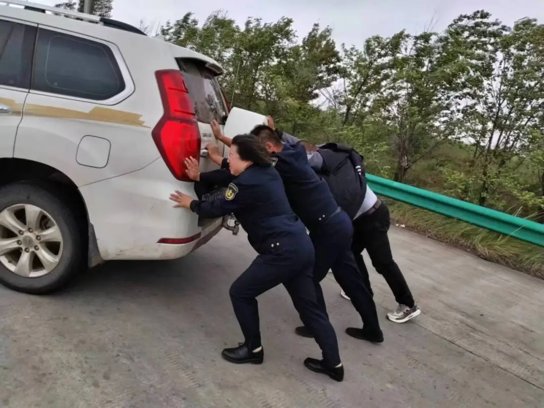 女人与公狍交酡女免费