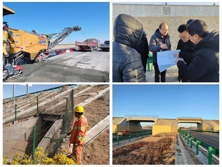 女人与公狍交酡女免费