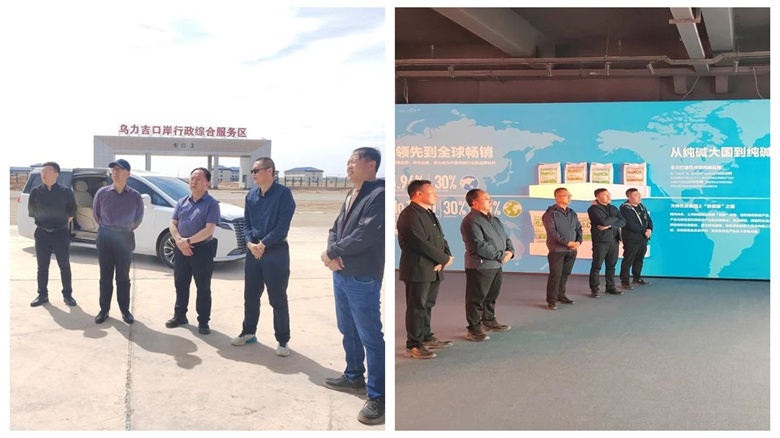 女人与公狍交酡女免费