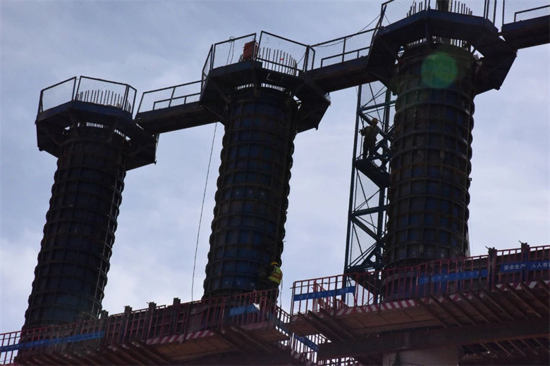 女人与公狍交酡女免费