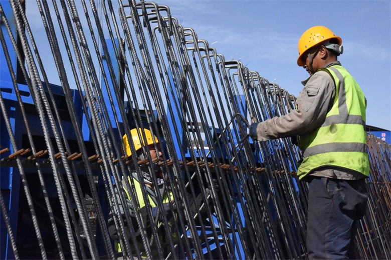 女人与公狍交酡女免费