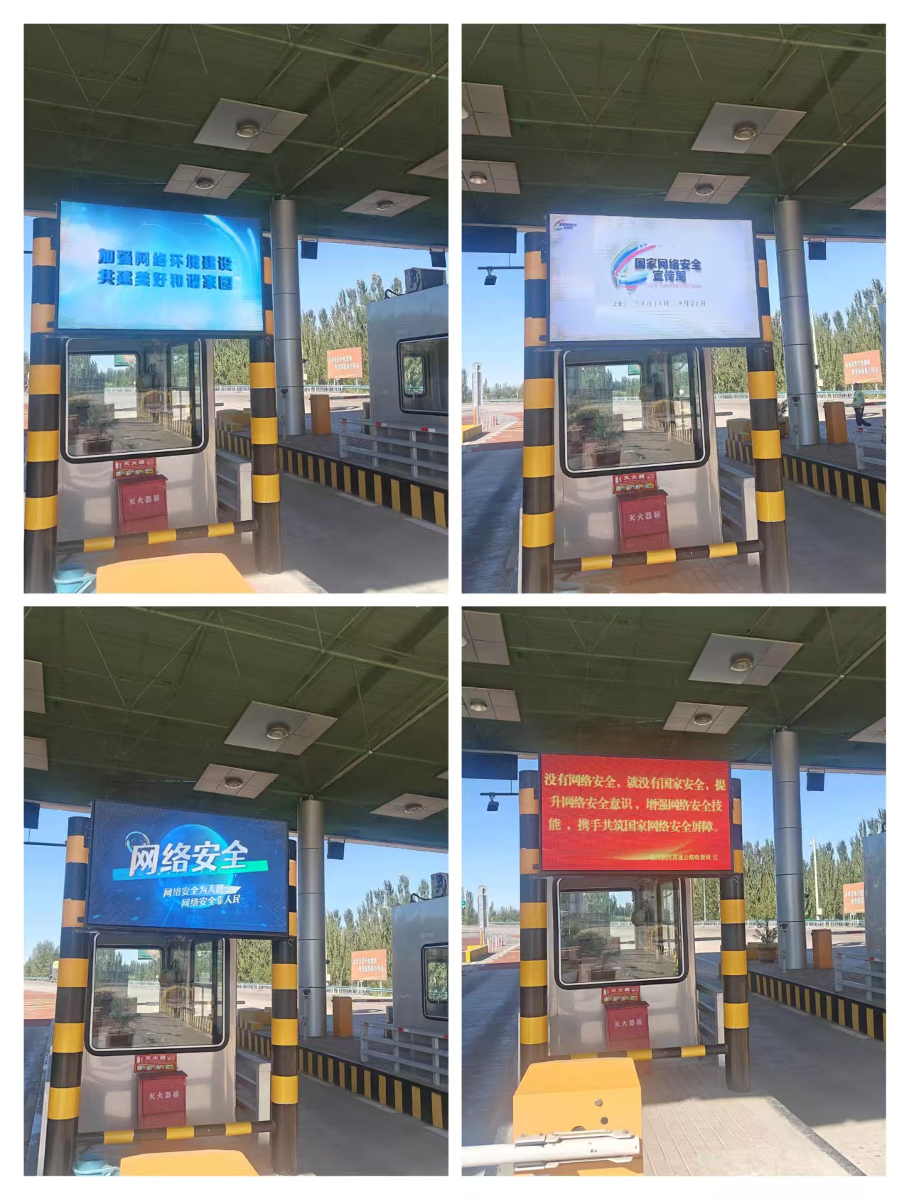 女人与公狍交酡女免费