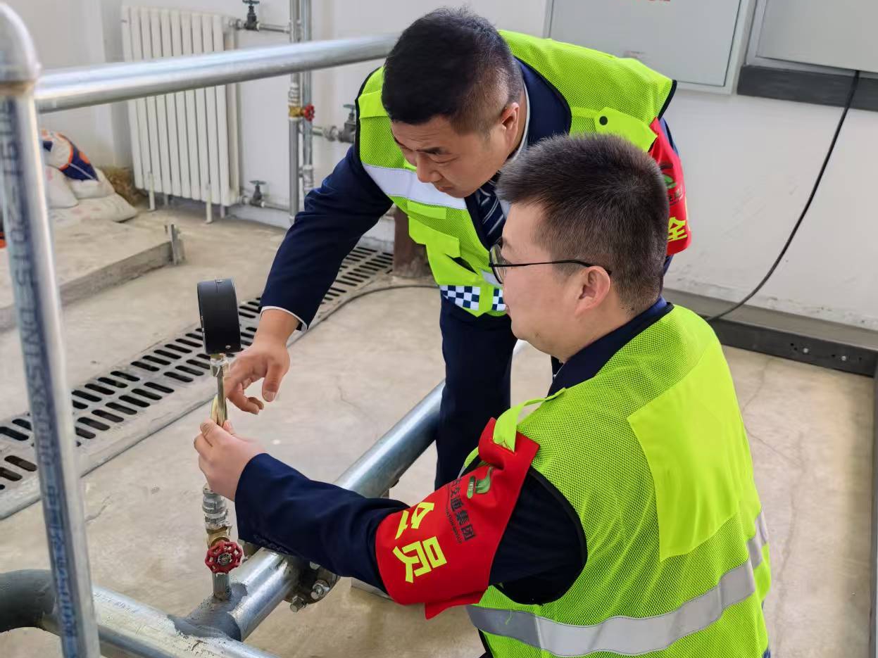 女人与公狍交酡女免费