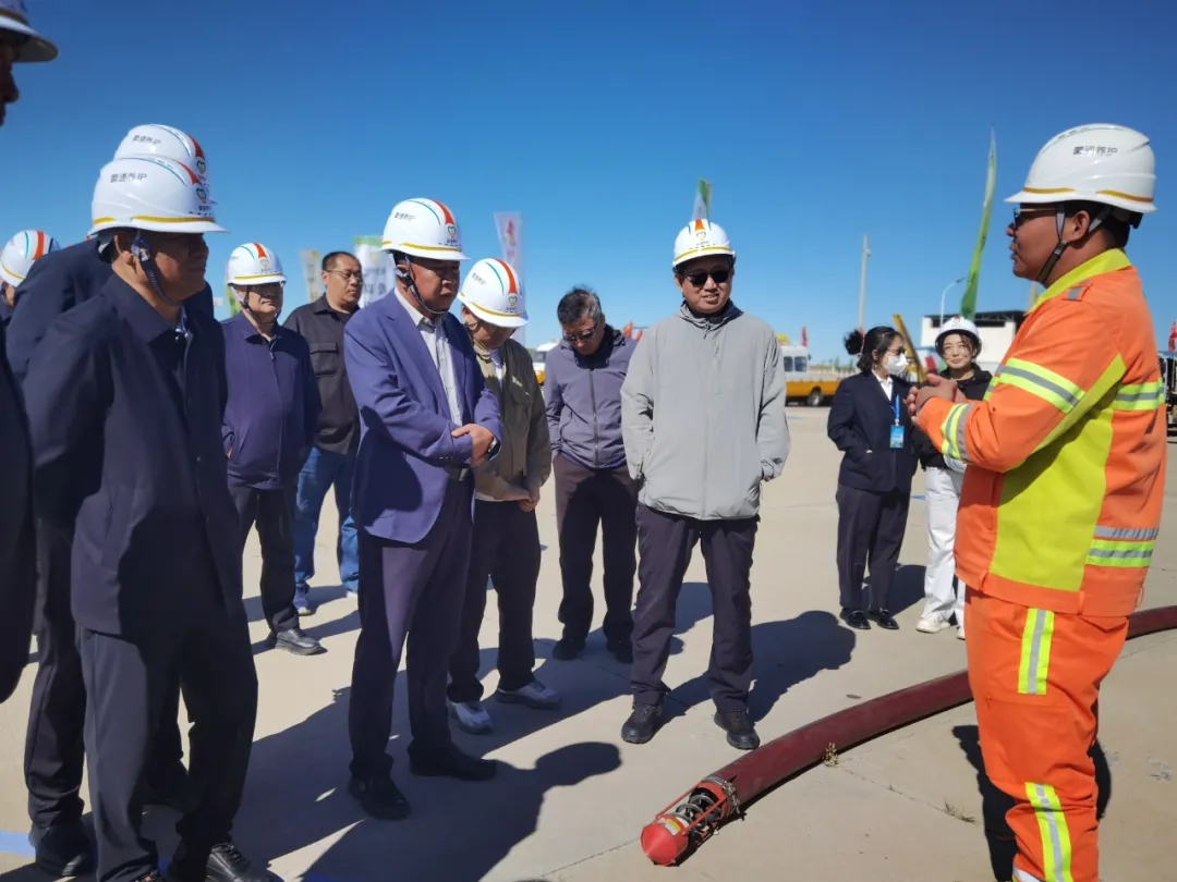 女人与公狍交酡女免费