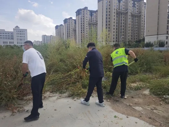 女人与公狍交酡女免费