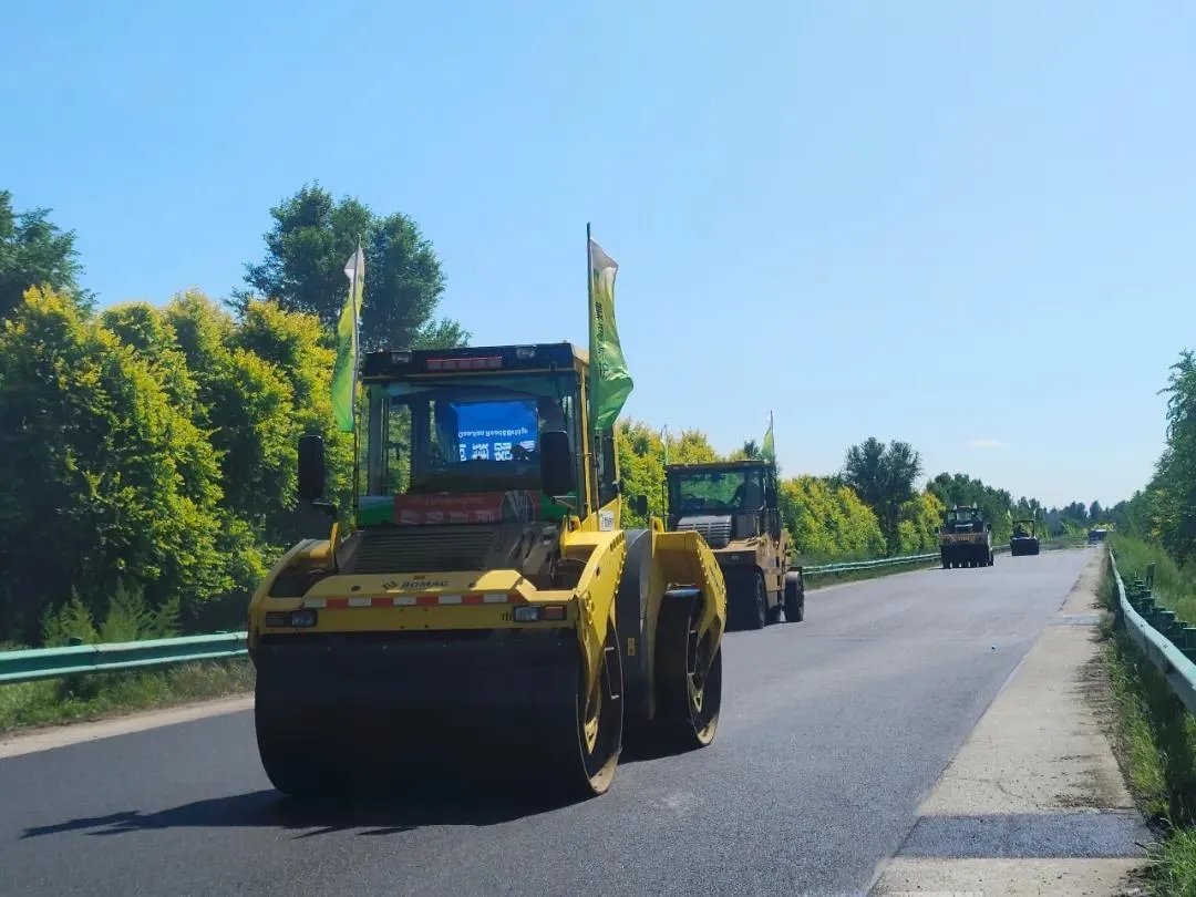 女人与公狍交酡女免费