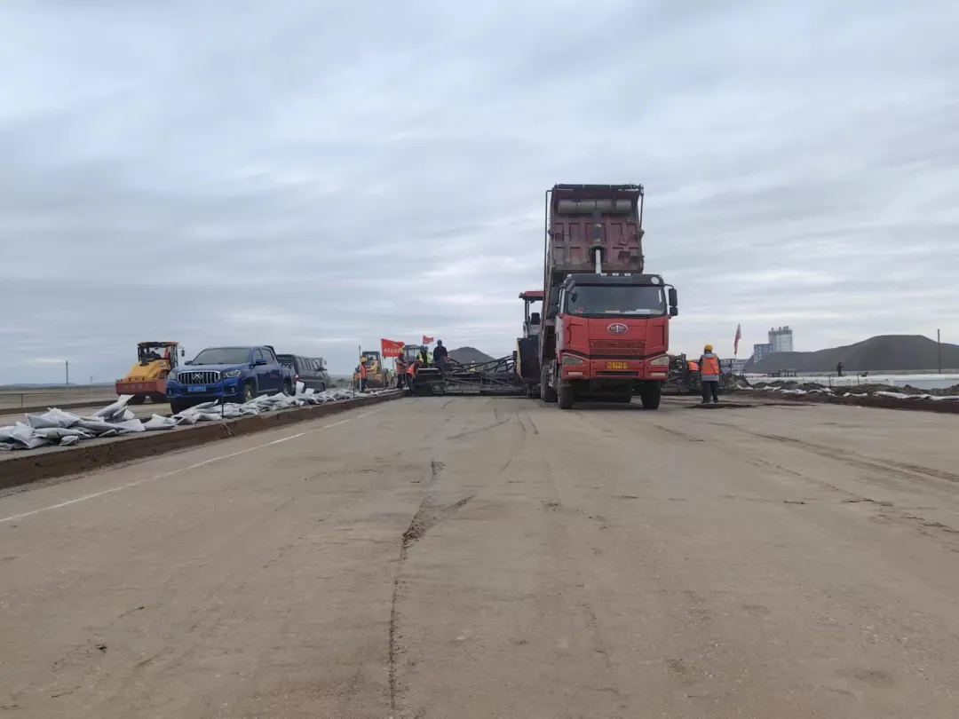 女人与公狍交酡女免费