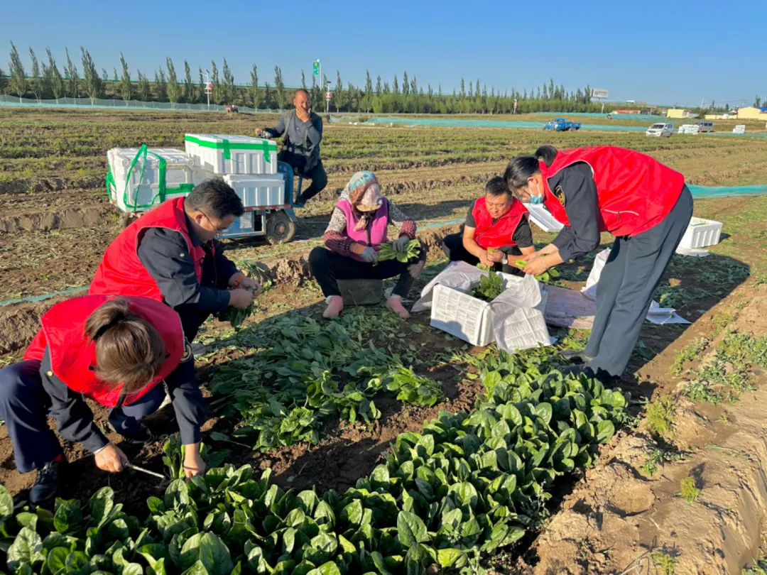 女人与公狍交酡女免费