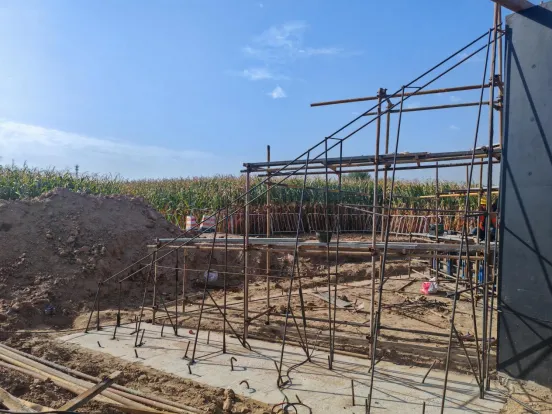 女人与公狍交酡女免费