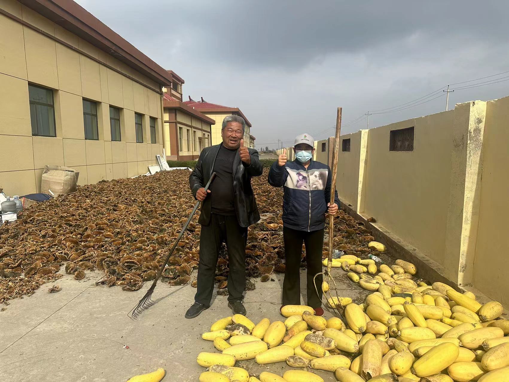 女人与公狍交酡女免费