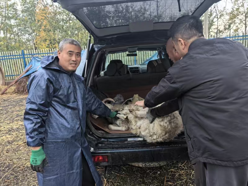 女人与公狍交酡女免费