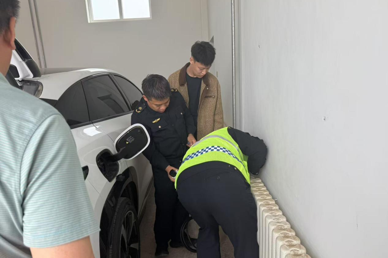 女人与公狍交酡女免费