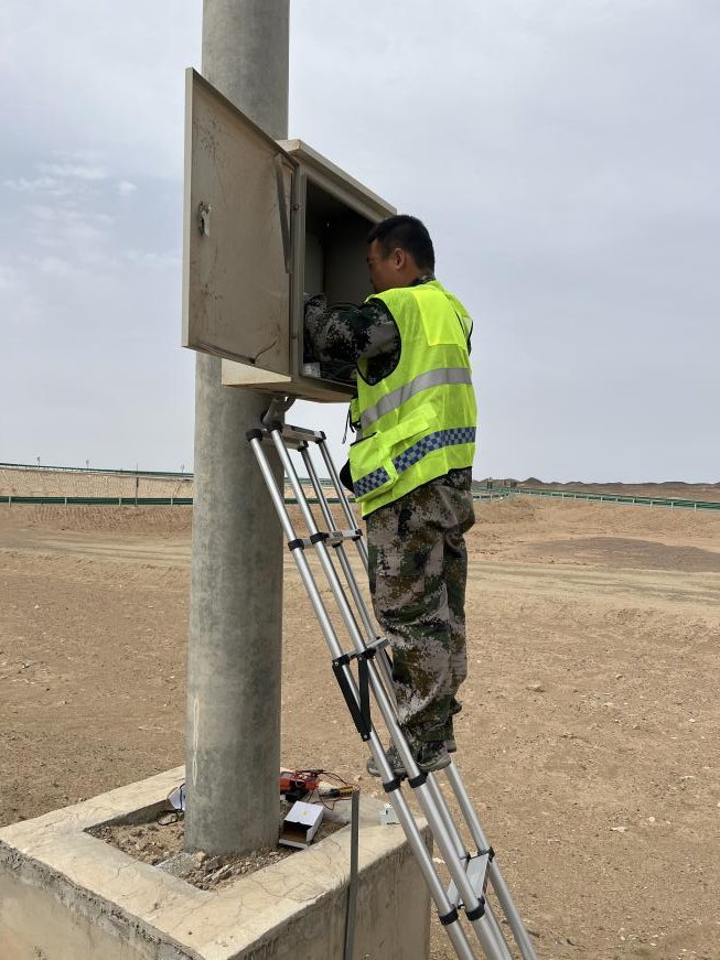 女人与公狍交酡女免费