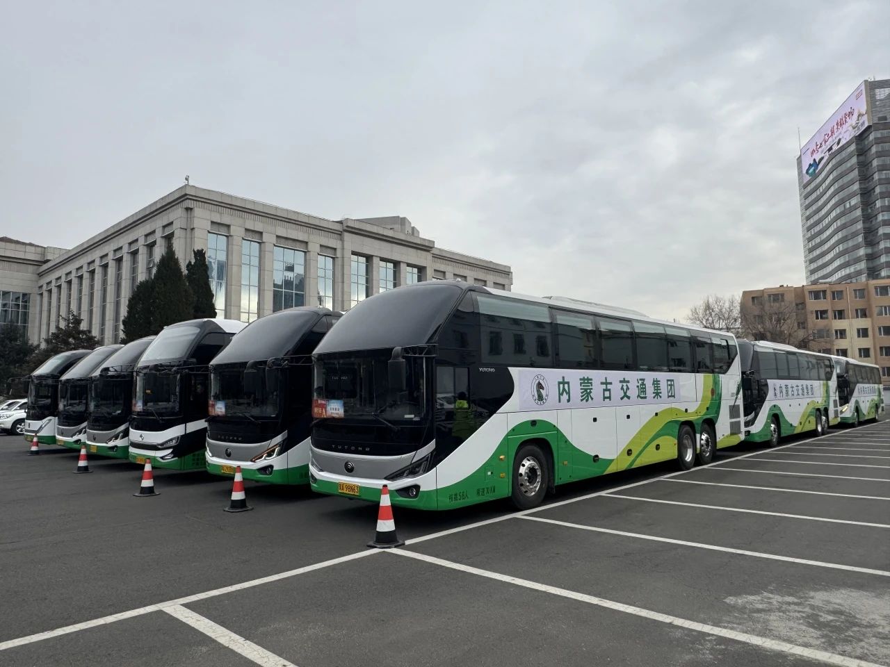 女人与公狍交酡女免费