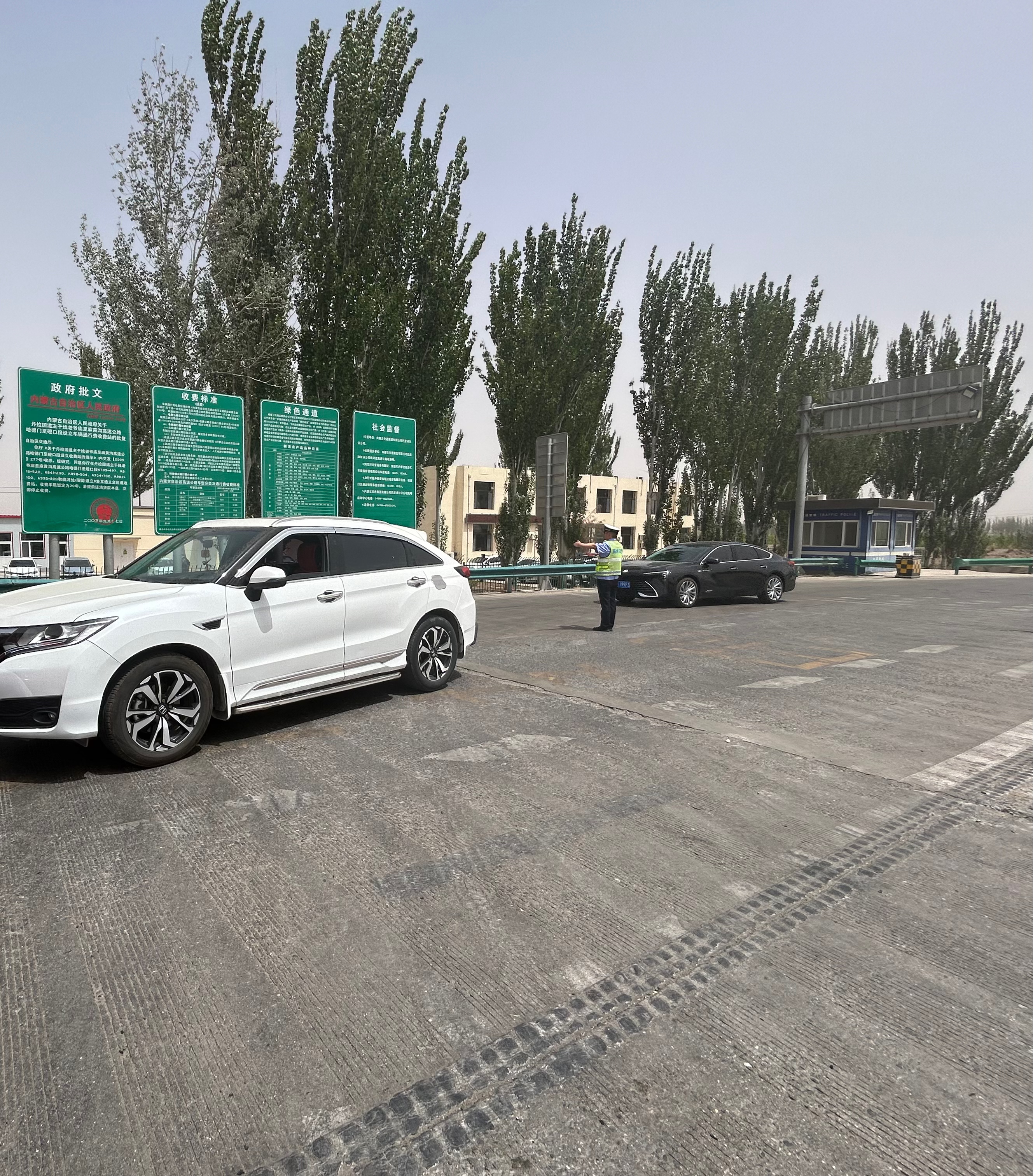 女人与公狍交酡女免费