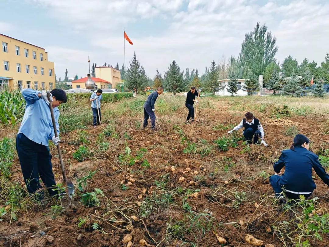 女人与公狍交酡女免费