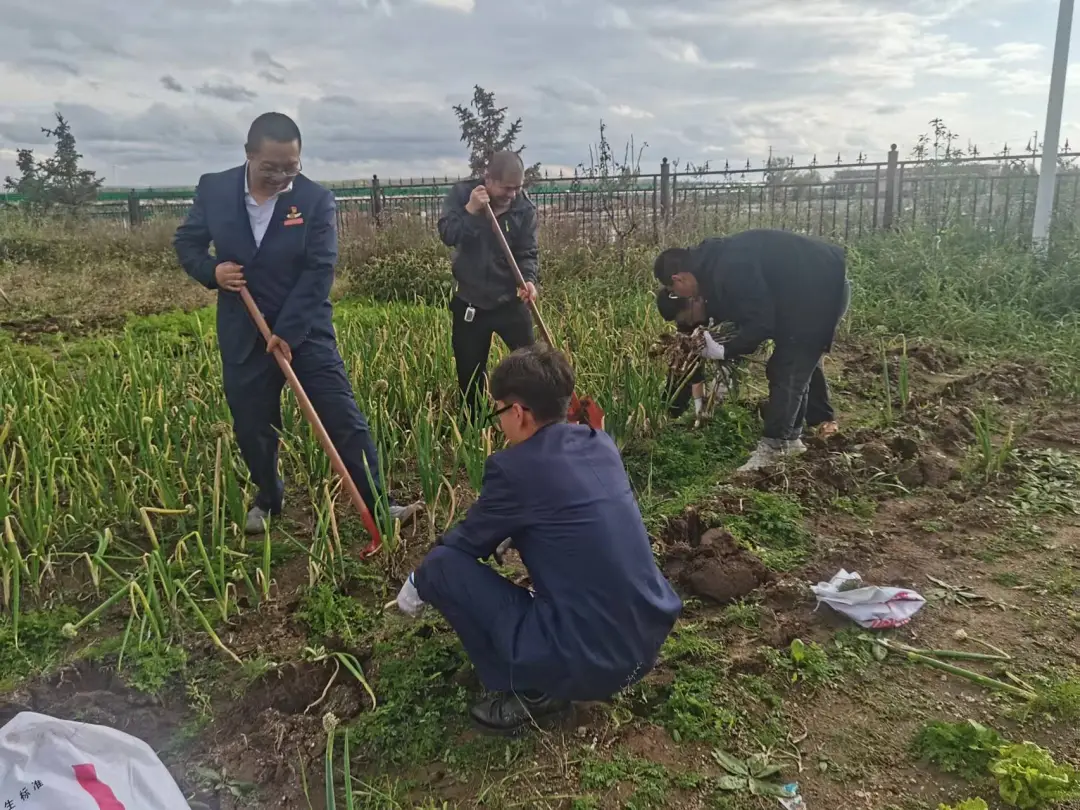 女人与公狍交酡女免费