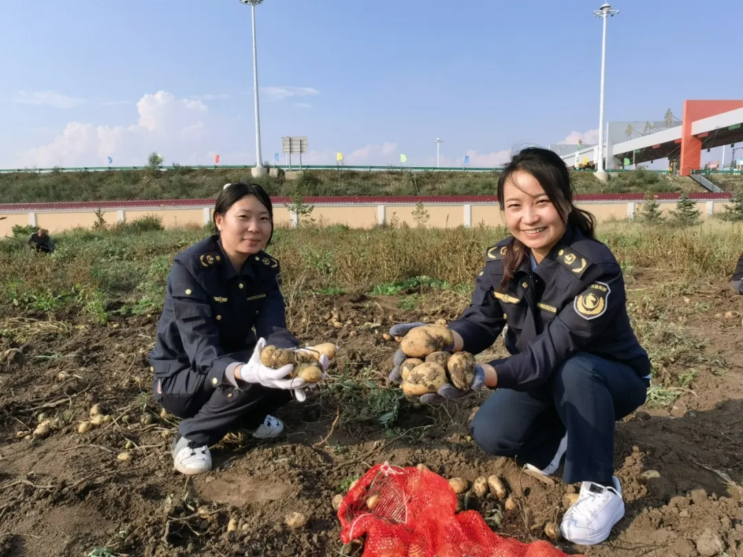 女人与公狍交酡女免费