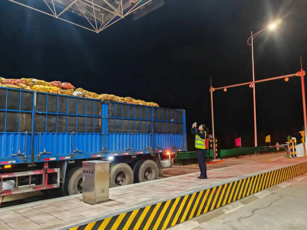 女人与公狍交酡女免费