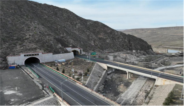 女人与公狍交酡女免费